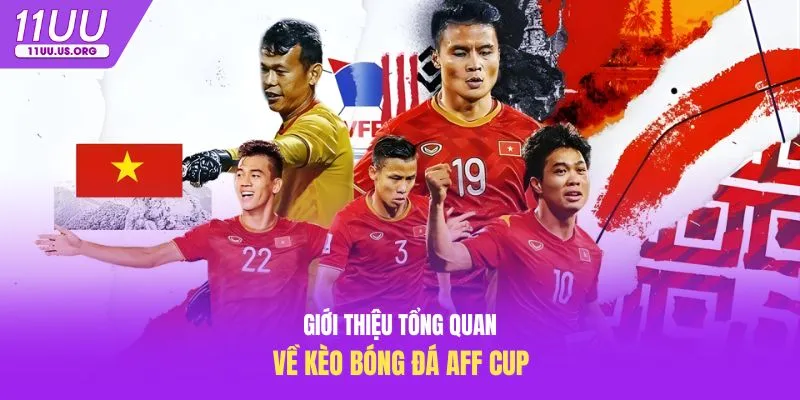 Giới thiệu tổng quan về kèo bóng đá aff cup